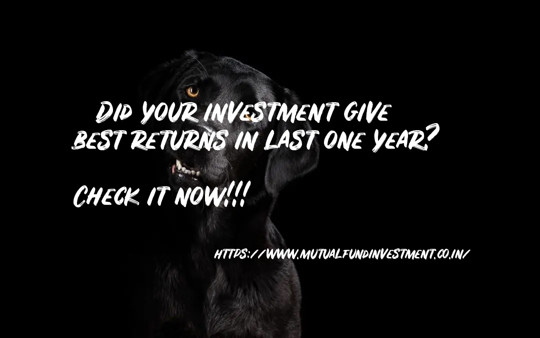 Did your investment give best returns in last one year Check it now